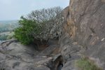 Title: Jaina Monuments; Tirumalai (Polur) Description: Way to the hill top Location: Tamil Nadu Temple;Jaina Monuments;Tirumalai