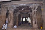 Title: Sri Ranganatha Temple complex; Ranga Vilasa mandapa; Srirangam Date: 17th centuryDescription: Ranga Vilasa mandapa, general view Location: Tamil Nadu Temple;Sri Ranganatha Temple complex;Srirangam Positioning: Ranga Vilasa mandapa, general view